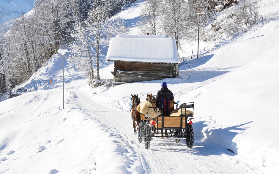 Pferdeschlittenfahrt in romantischer Winterlandschaft