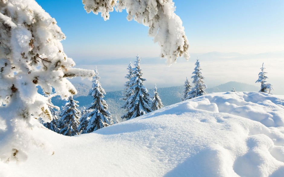 Tief verschneite Wälder